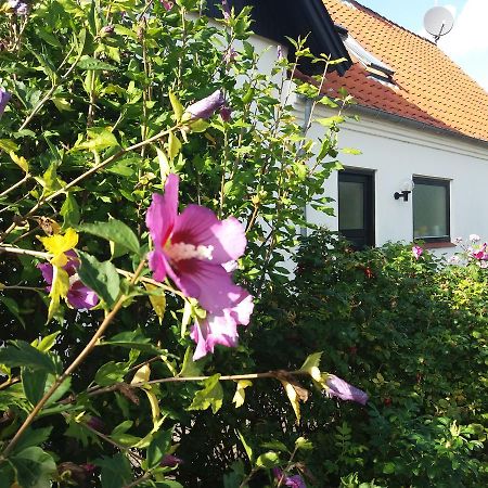 B & B Hygge Stoense 외부 사진